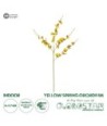 GloboStar® Artificial Garden YELLOW SPRING ORCHIDIUM BRANCH 21415 Τεχνητό Διακοσμητικό Κλαδί Κίτρινη Ορχιδέα Y76cm